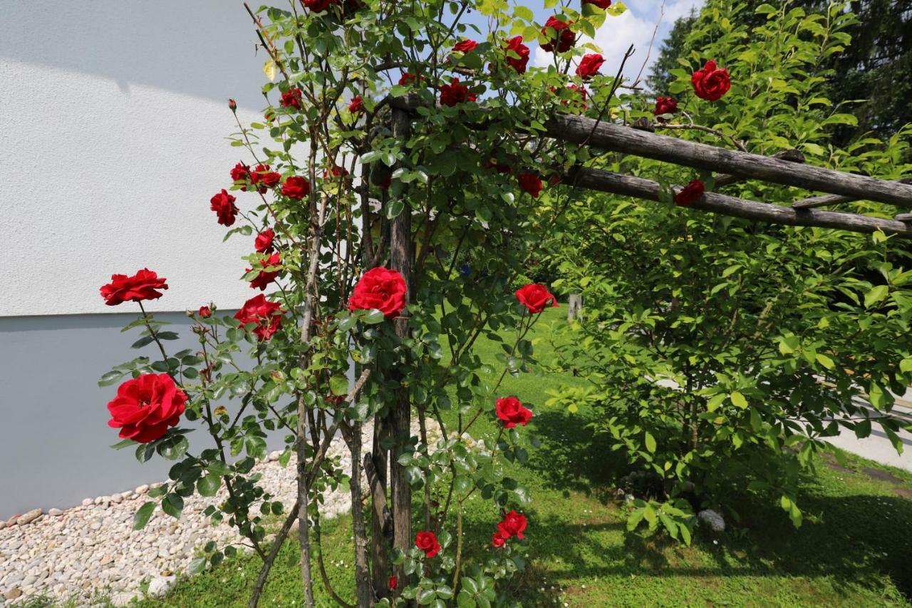 Adventure Cottage With Pool And Big Garden Bled Zewnętrze zdjęcie